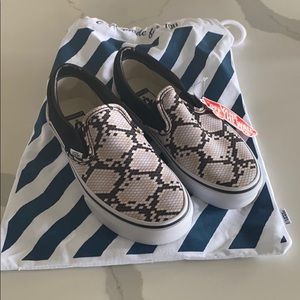 Custom Vans